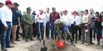 Gobierno de Tamaulipas se suma a la Jornada Nacional de Reforestación 2026