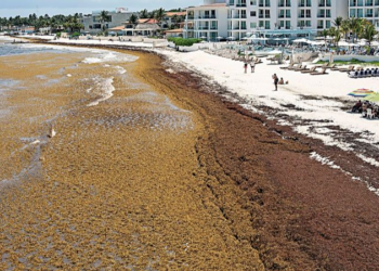 Las playas siguen contaminadas