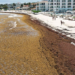 Las playas siguen contaminadas