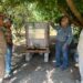 Bioinsumos abren camino a la recuperación de huertas citrícolas en Güémez