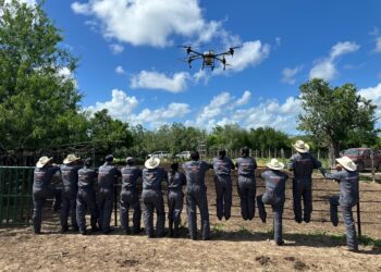 Refuerza la UAT brigadas de contención frente al gusano barrenador en Tamaulipas