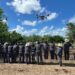 Refuerza la UAT brigadas de contención frente al gusano barrenador en Tamaulipas