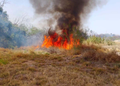 En Nuevo Laredo aumenta en un 40% los incendios