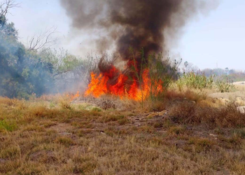 En Nuevo Laredo aumenta en un 40% los incendios