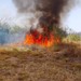 En Nuevo Laredo aumenta en un 40% los incendios