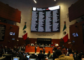 Senado aprueba ley que reconoce la sintiencia animal