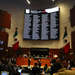 Senado aprueba ley que reconoce la sintiencia animal