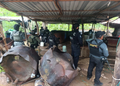 En Guerrero destruyen 3 laboratorios de metanfetamina