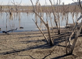 Laredo pretende combatir la escasez de agua de la siguiente forma