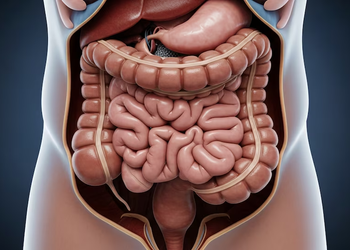 Así se previene el cáncer de colorrectal