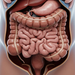 Así se previene el cáncer de colorrectal